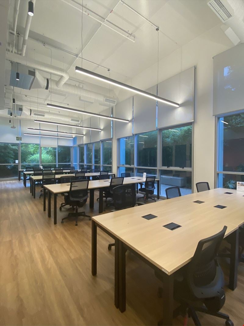 Girassol 555 Coworking